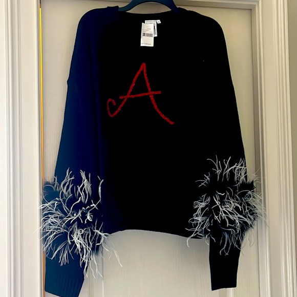 QUEEN OF SPARKLES Sweaters - Queen of Sparkle Black Alabama sweater with feather detail on sleeve. Brand new
